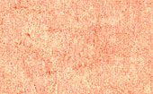 Gemütliches Rot im Old Paper-Look